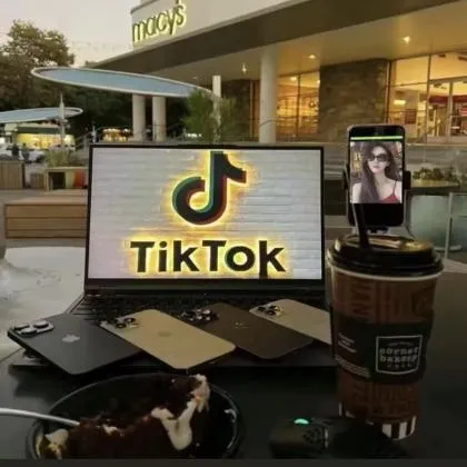 TikTok高权重2021-2023年老号带随机粉丝